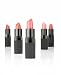 Ecco Bella FlowerColor Cover Up and Lipsticks
