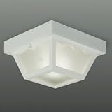 Progress Ceiling Mounted Ceiling Non-Metallic Lanterns White