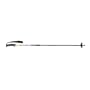 Variant - Variant Ski/Probe Pole