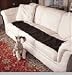 Kitchen & Housewares : Sonic Scat Mat**Sofa Scram Dog & Cat Deterrent *** Keeps Pets Off Furniture *** Portable Use Anywhere ***Money Back Guarantee*** It Works!!!