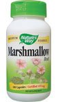 Marshmallow Root 455 Mg 100 Caps