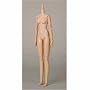 �I�r�c�{�f�B S60 27BD-F05N ����Body SBH-S �i�`������