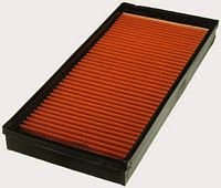 FRAM PPA8205 Air Hog Panel Filter