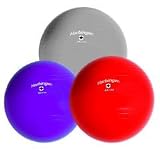 Product details for Harbinger Training Ball