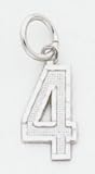 Small #4 Charm - WSN04