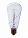 NOS60-1910 NOSTALGIC VINTAGE 60W E26 ANTIQUE Feit Electric Light Bulb / Lamp Z Donsbulbs