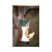 Woodpecker Feeder 1qt by 