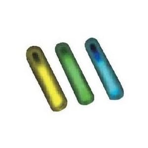 Coleman #2000001612 2PK Light Stick Assorted
