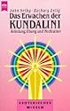 Das Erwachen der Kundalini. Anleitung, Übung und Meditation.