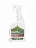 Seventh Generation Kitchen Cleaner, Wild Orange & Cedar Spice