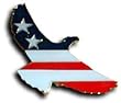 USA Eagle Cutout - Other Lapel Pins