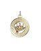 Bon Voyage Ship on Open Disc, 14K Gold Charm