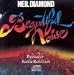 Beautiful Noise