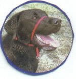Gentle Leader Headcollar Size Medium, Red
