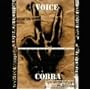 VOICE