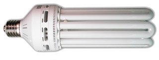 125 W Compact Fluorescent Bulb - Warm On Sale