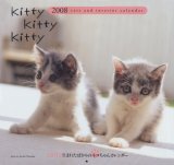 saita生まれたばかりのネコちゃんカレンダーKitty K (2008)