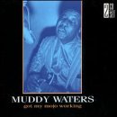 Review Muddy Waters  / Got My Mojo Working