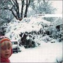 'Clarence Park' by Chris Clark (released 5/2001), from $6	