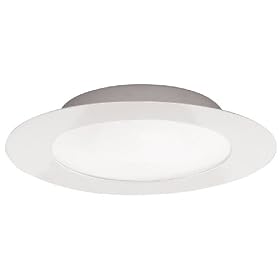 Eglo 87213A Palmera, White Frosted Opal, 2-Light Ceiling Light Fixture by Eglo