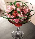 Same Day Flower Delivery A Toast to You