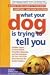 What Your Dog Is Trying to Tell You