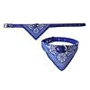2-TECH Hunde Halsband mit Tuch 34-44,5cm, blau