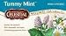 Wellness Tummy Mint (Replaces Grandma's Tummy Mint) - 20 - Bag