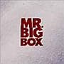 Mr Big Box