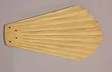 Carved Seashell Maui Bay Ceiling Fan Blades