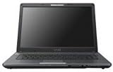 Sony Vaio VGN-FE48E 15,4 Zoll WXGA Notebook (Intel Core 2 Duo T5500 1,66GHz, 1GB RAM, 120GB HDD, nVidia GeForce Go 7400, DVD+- DL RW, Vista Premium)