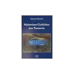 Malawisee-Cichliden aus Tansania