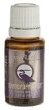 21PSeQTk1gL. SL160  Transformation Essential Oil Blend by Young Living   5ml