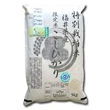 特別栽培米 無農薬 コシヒカリ 5kg 玄米