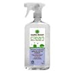Martha Stewart Clean Glass and Mirror Cleaner