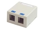Surface Mount Box for 2 Keystone Inserts, Color: Ivory