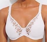 Lilyette Original Minimizer