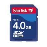 Nintendo Wii Sandisk Gaming SD Memory Card 4GB