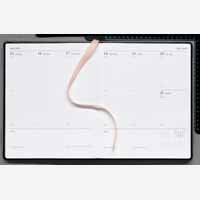 Childrens Toyshop  Electronics : Letts 2009 Financial Times Desk Diary Quarto Black FTDC