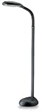 Natural Spectrum Deluxe Floor Lamp in Graphite