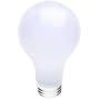 75-watt A19 incandescent bulb