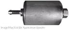 Hastings GF366 In-Line Fuel Filter
