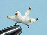 SportingGoods: Roger's White Wiggler Maggot Imitation Fly