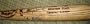 Broadway Stars autographed Baseball Bat by actors John Ritter, Henry Winkler, Adrian Zimid, Len Carriou, & Tony Roberts