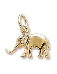 Elephant Charm