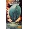 DISASTER FILMS: Large Casts; Great Effects.