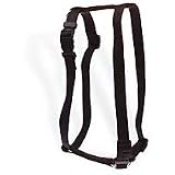 Aspen Pet 3/4 Single Ply Nylon Adjustable Dog Harness