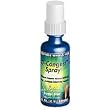 D-Congest Spray - 1 oz - Liquid