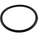 Hayward Perflex Filter Inlet Fitting O-Ring 0-49 SPX142