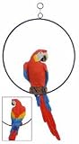 Young's Hanging Parrot On A Ring
